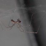 photos/Microcosme animal/IMG_7818.jpg