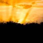 photos/Paysage & Architecture/IMG_8742.jpg