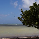 photos/Paysage & Architecture/IMG_9137.jpg