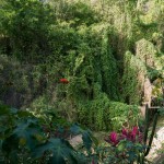 photos/Paysage & Architecture/P1040010.jpg