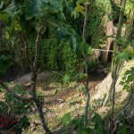 photos/Paysage & Architecture/P1040011.jpg