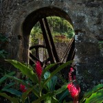 photos/Paysage & Architecture/P1040013.jpg